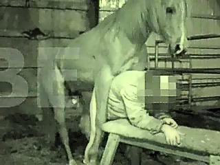 Man fucked by a horse. Amateur gay beastiality