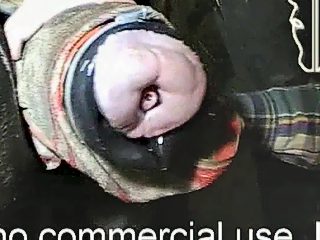 Man gives horse handjob