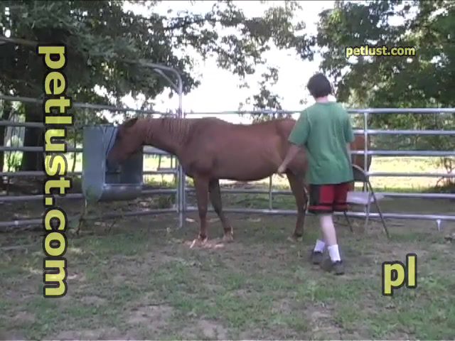 Man creampie into horse pussy. Free mare bestiality porn