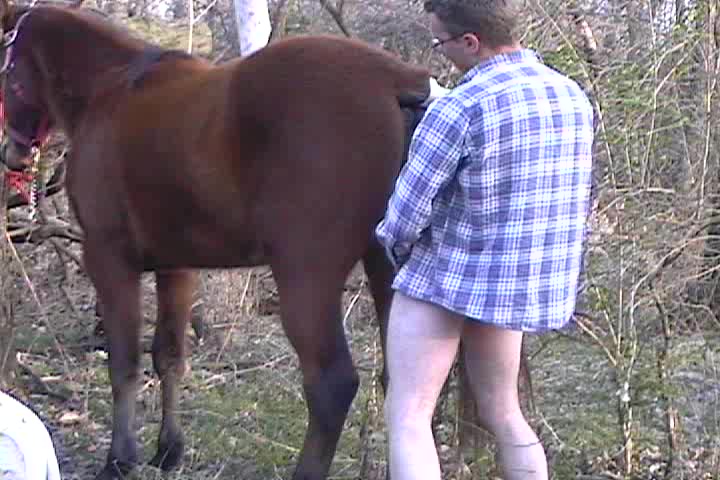 Gay zoo sex. Male fuck male horse in the ass and cums