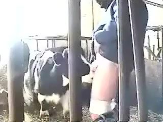 Calf suck dick