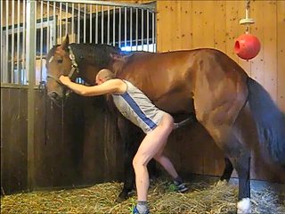 Horse fucks man