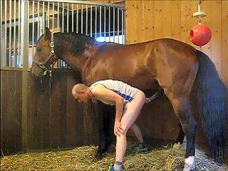 Horse fucks man
